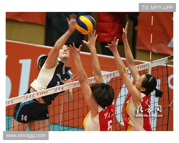 陈丽独家分享排球心得与技巧助你提升球技的秘诀与经验