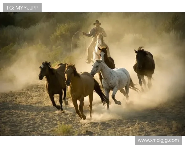 马力克的传奇人生与奋斗历程揭示了坚持与梦想的力量