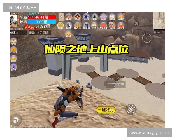 和平精英赛事分析：WE战队在比赛中的经验与策略分享