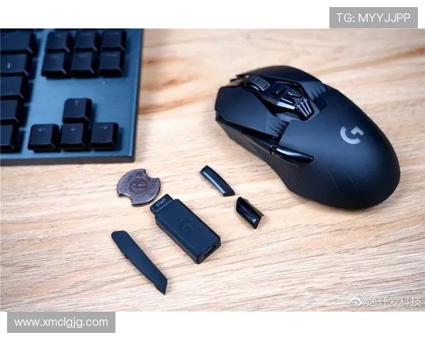 英雄联盟专题深度解析V5战队实力与战术布局的全景剖析