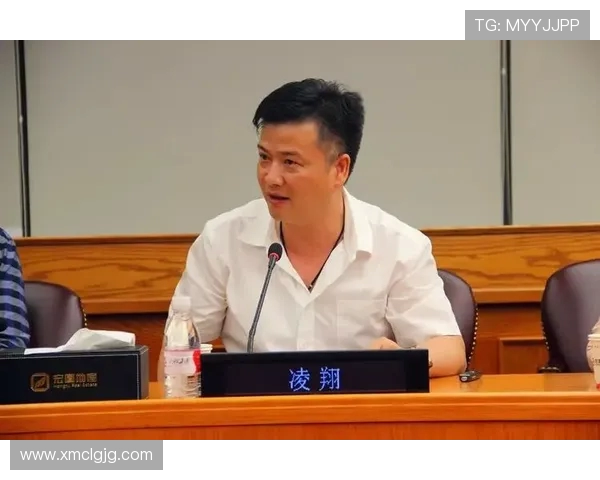 南京羽毛球队实力解析：聚焦训练与比赛中的卓越表现与发展潜力