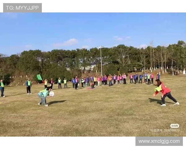 南京飞盘队运营革新探索：从团队建设到市场推广的全方位提升之路