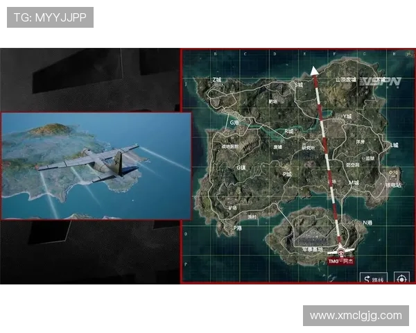 和平精英深度解析：RNG战队的默契配合与战术运用探讨